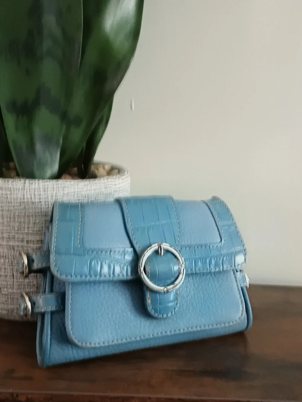 Brighton Mini Clutch/Crossbody